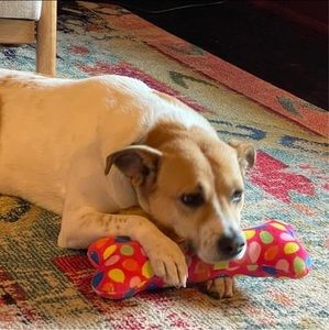 Meet your Posher, Alane